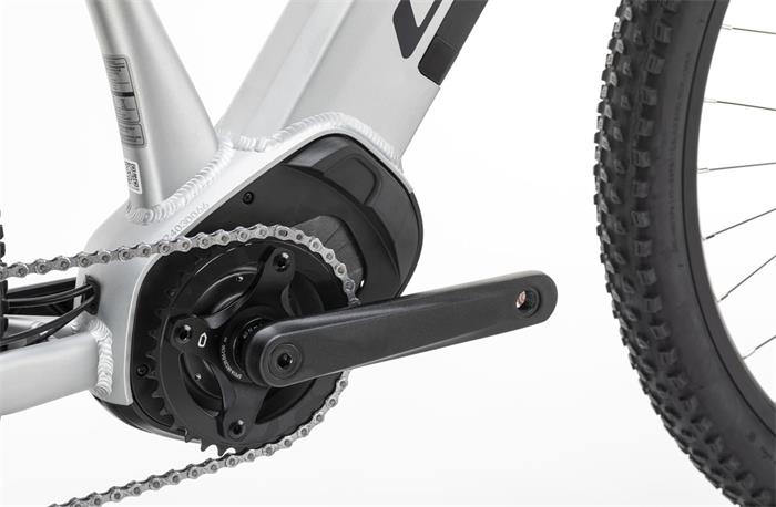 BORNEO 720Wh CUES 10S E-MTB 29" GREY MD-432