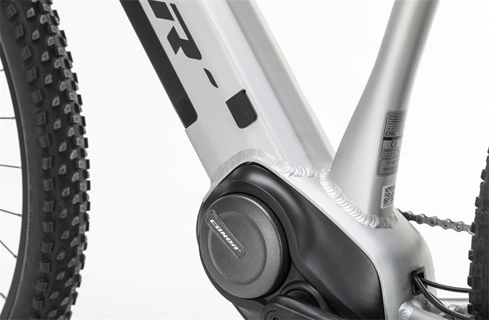 BORNEO 720Wh CUES 10S E-MTB 29" GREY MD-432