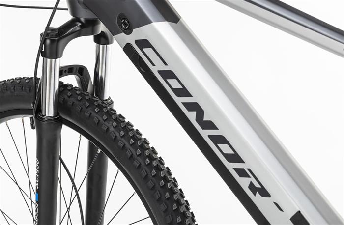 BORNEO 720Wh CUES 10S E-MTB 29" GREY MD-432