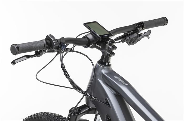 BORNEO 720Wh CUES 10S E-MTB 29" GREY MD-432