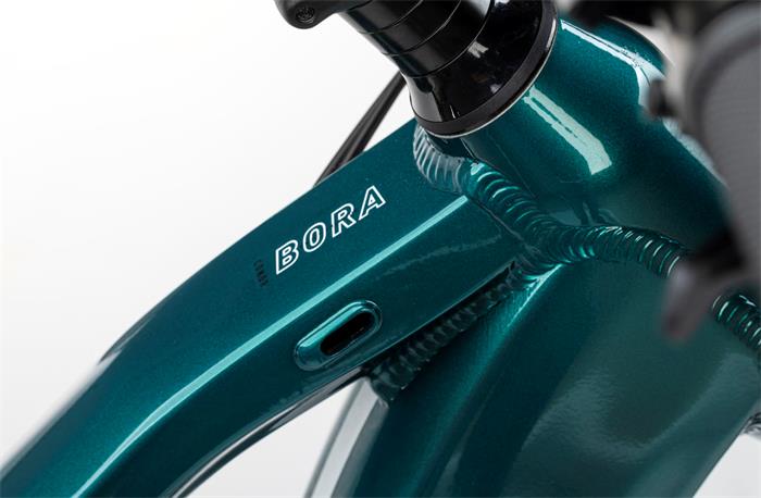 BORA FS Cues 11s MTB 29" GREEN LA-480