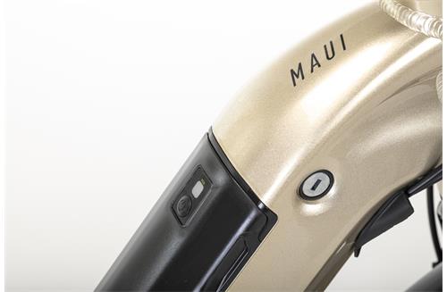 MAUI E-CITY FOLDING 20" 6s GOLDEN