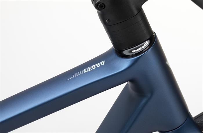 WRC CLOUD DISC. Rival AXS 2x12s AZUL XS/470mm