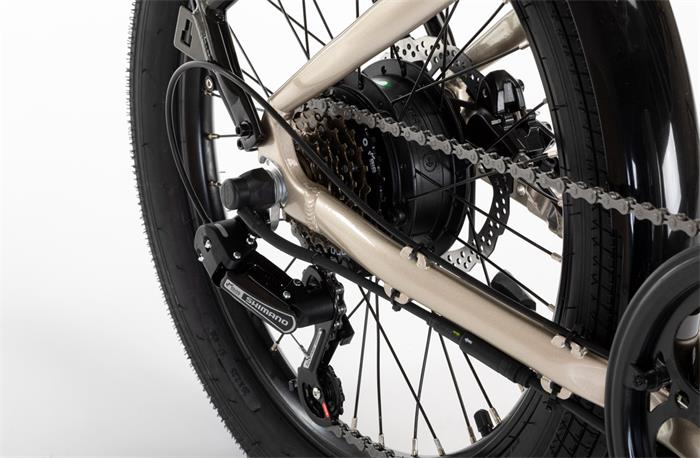 MAUI E-CITY FOLDING 20" 6s GOLDEN