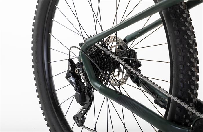 BORNEO E-MTB 29er VINKA E-50 10S 720W GREEN LA-483