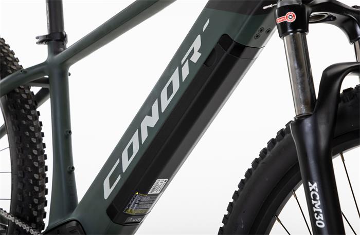 BORNEO E-MTB 29er VINKA E-50 10S 720W GREEN LA-483