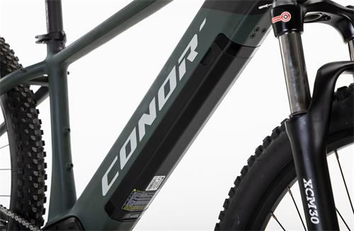 BORNEO E-MTB 29er VINKA E-50 10S 720W GREEN LA-483