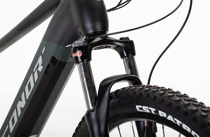 BORNEO E-MTB 29er VINKA E-50 10S 720W GREEN LA-483