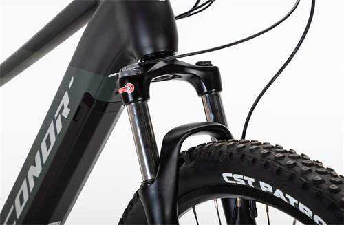 BORNEO E-MTB 29er VINKA E-50 10S 720W GREEN LA-483