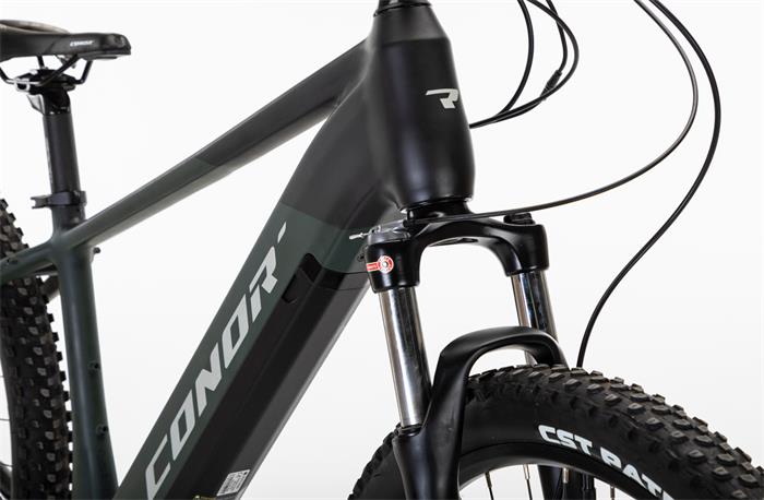 BORNEO E-MTB 29er VINKA E-50 10S 720W GREEN LA-483