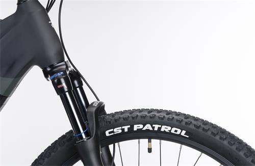 BORNEO E-MTB 29erVINKA E-50 10S 720Wh GREEN SM-380