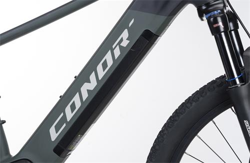 BORNEO E-MTB 29erVINKA E-50 10S 720Wh GREEN SM-380