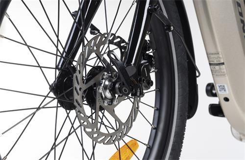 MAUI E-CITY FOLDING 20" 6s GOLDEN