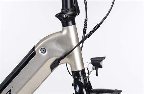 MAUI E-CITY FOLDING 20" 6s GOLDEN