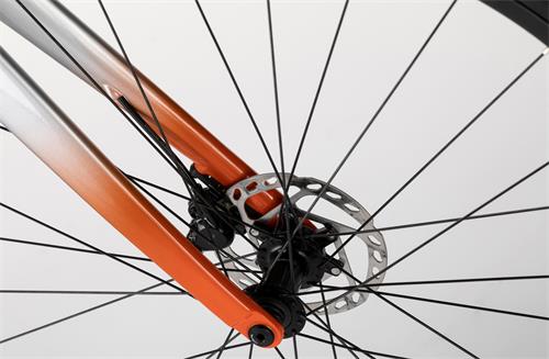 RUSH GRAN FONDO 105 Di2 2x12s GREY LA/570