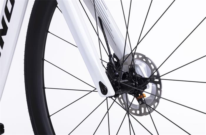 VOLCANO AERO DISC 105 Di2 2x12s PEARL SM/520