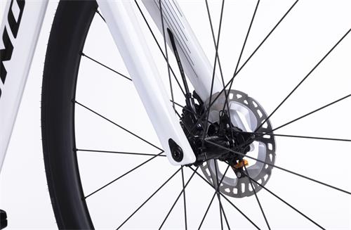 VOLCANO AERO DISC 105 Di2 2x12s PEARL SM/520